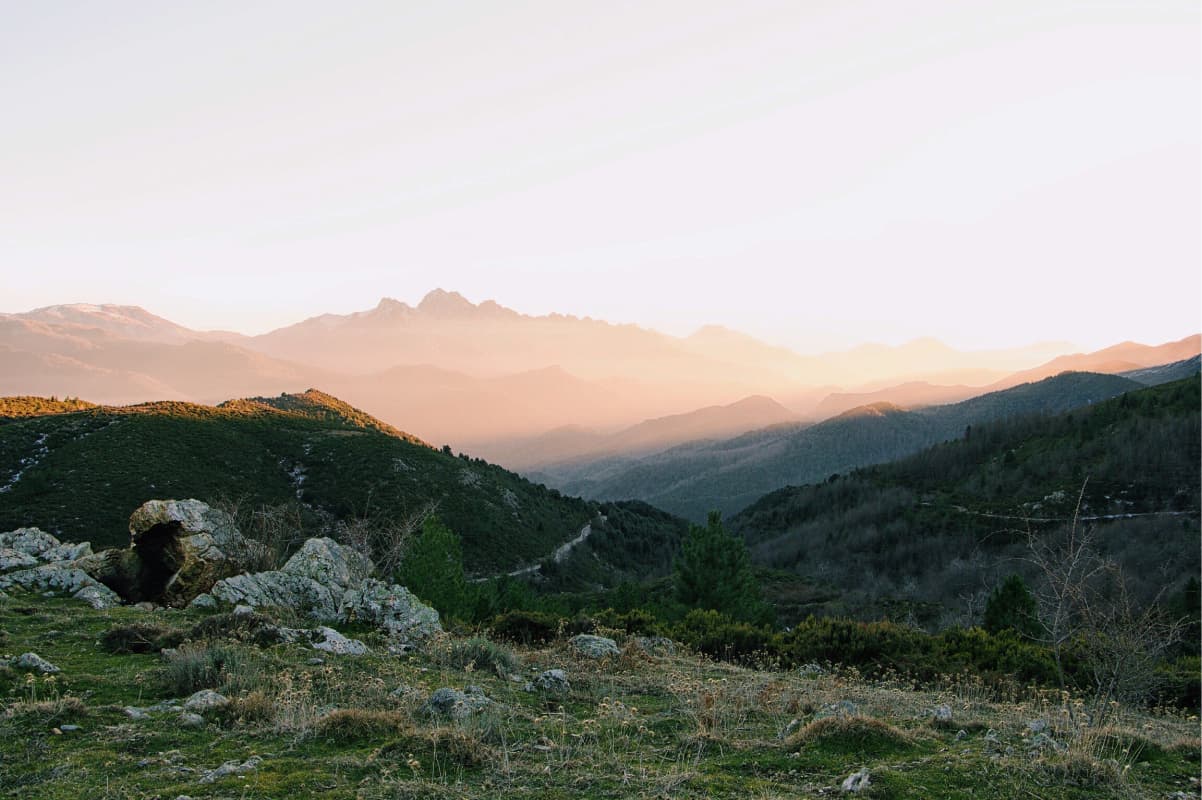 A landscape at sundown with the sun light creating a gradient of greens across the different layers. There is snow on one of the most distant peaks.